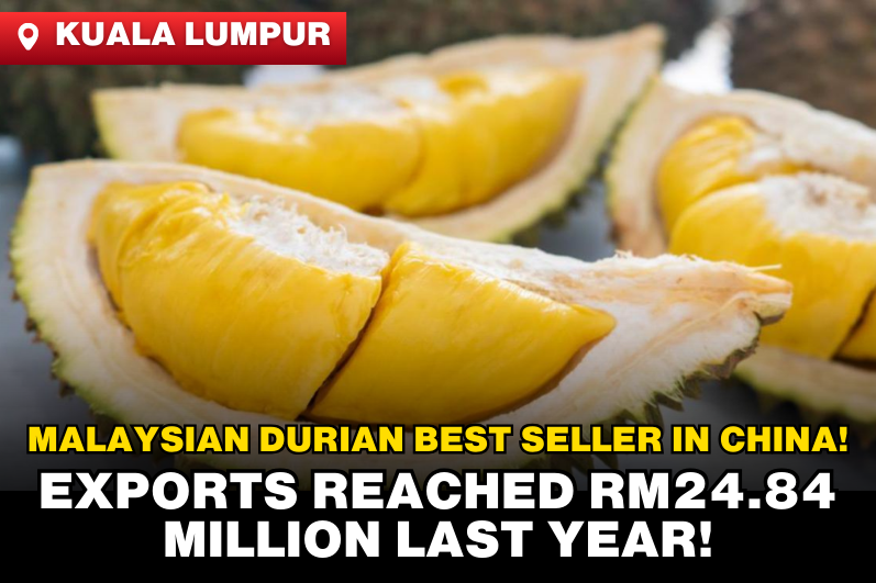 Malaysia’s Durian Exports to China Hit RM24.84 Million in 2023