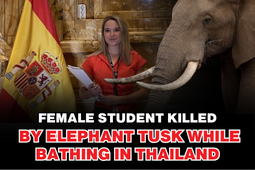 Spanish Student Killed in Tragic Elephant Attack in Thailand