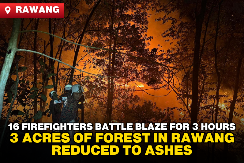 16 Firefighters Battle Blaze for 3 Hours – 3 Acres of Forest in Rawang Reduced to Ashes