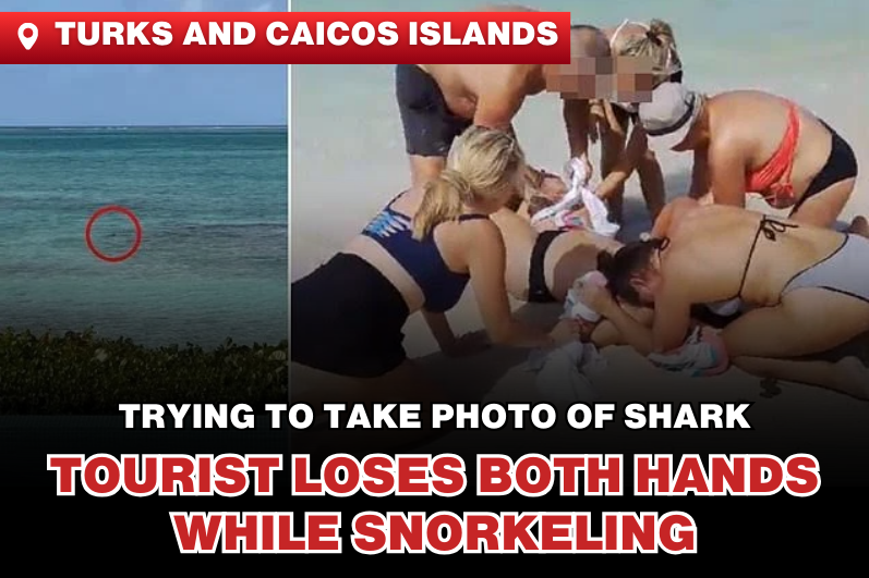 Tourist Loses Both Arms After Approaching Shark for a Photo Instead of Escaping