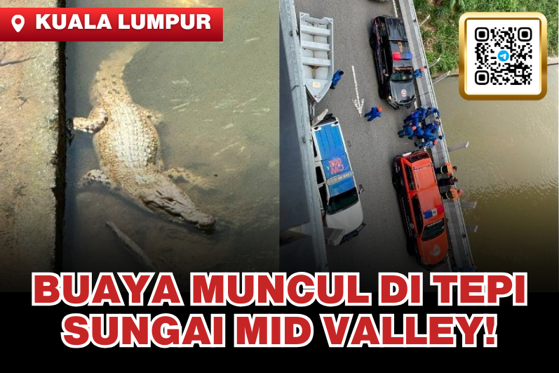 Crocodile Spotted in Klang River Near Mid Valley!