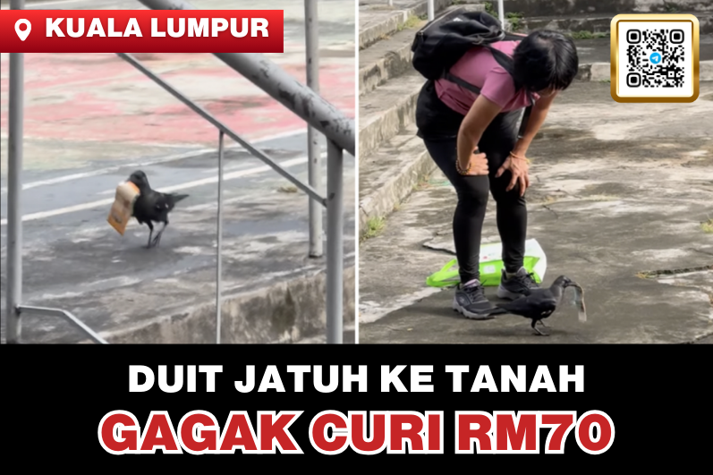 Crow Steals RM70! Uncle Andy’s Hilarious Money-Chasing Adventure